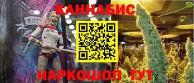 прущие грибы Комсомольск-на-Амуре