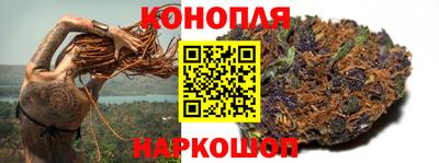 прущие грибы Комсомольск-на-Амуре
