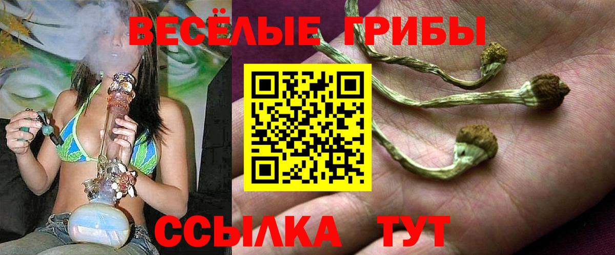 Псилоцибиновые грибы MAGIC MUSHROOMS  Вход с VPN  Каменск-Шахтинский 