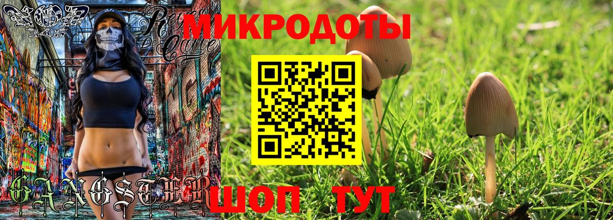 Галлюциногенные грибы прущие грибы Каменск-Шахтинский