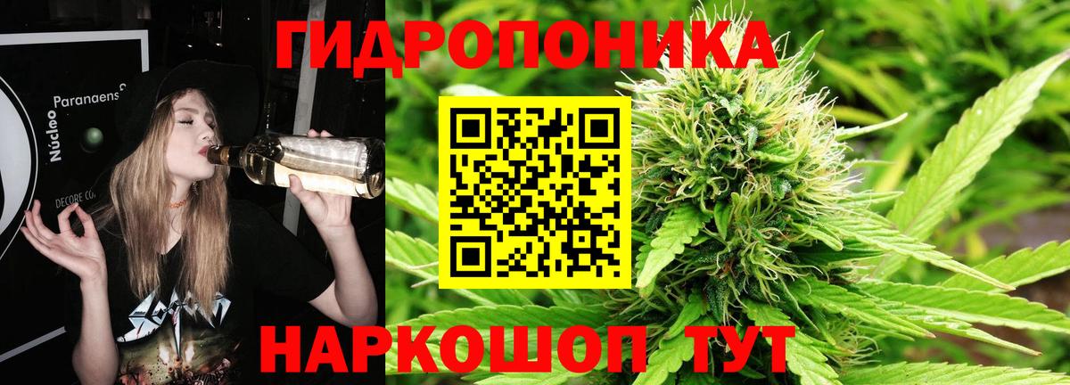 Конопля сатива Каменск-Шахтинский