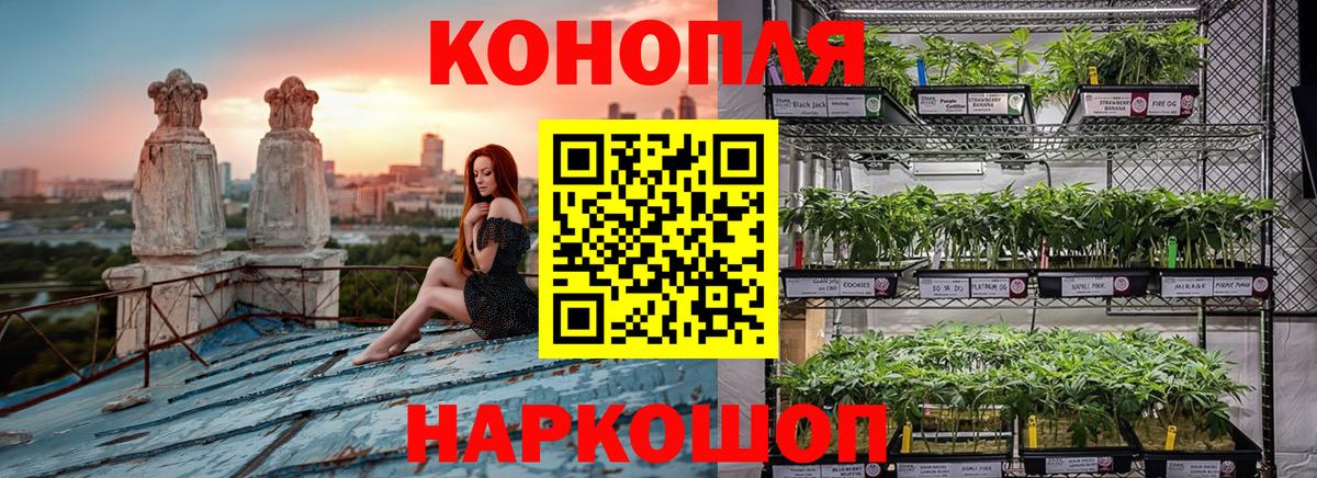 Бошки марихуана план  Шишки марихуана SATIVA & INDICA  Каменск-Шахтинский  МАРИХУАНА ГИДРОПОН  Вход с VPN 